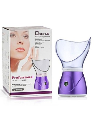 appareil vapeur pour visage , vaporisateur