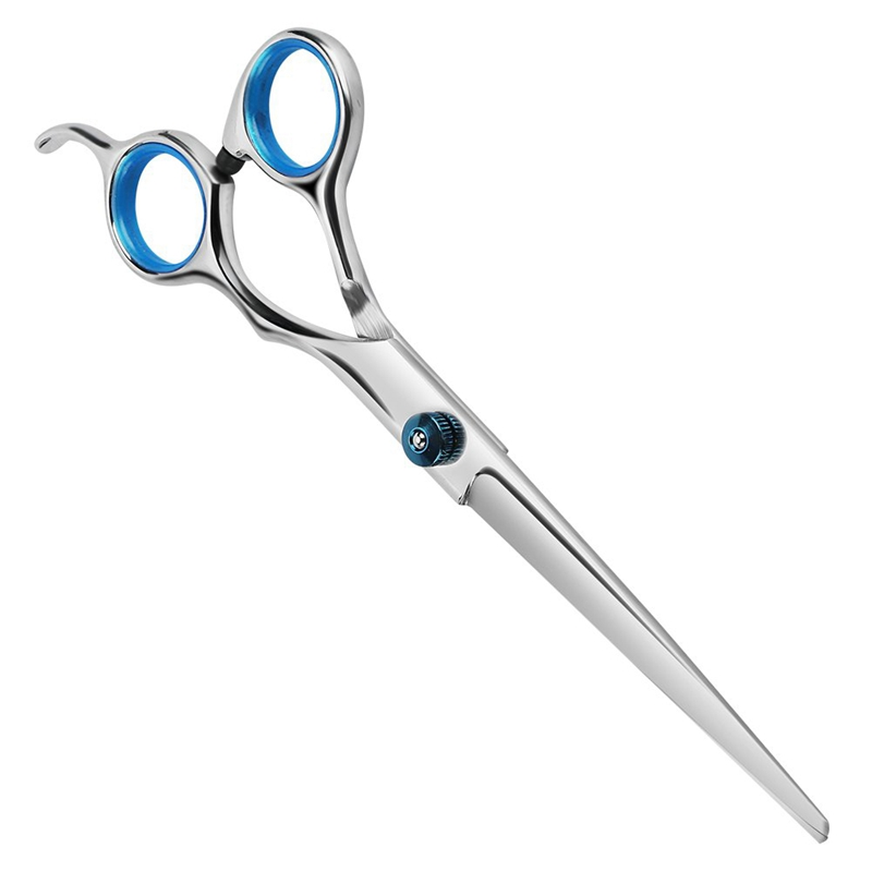 Ciseau Coiffure en Acier - Accessoires Cheveux et Coiffure