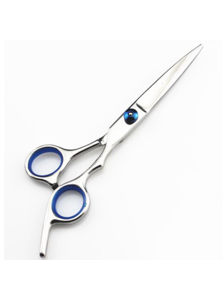 Ciseau Coiffure en Acier - Accessoires Cheveux et Coiffure