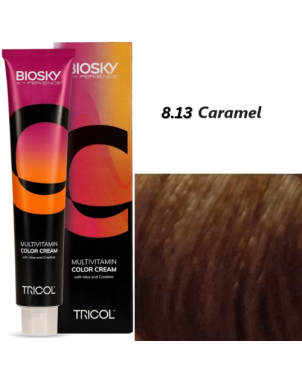 X-Perience Color Cream ° 8.13 - Caramel - Coloration Cheveux