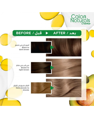 Garnier Color Naturals ° 7.1 Blond Cendré - Teinture Cheveux