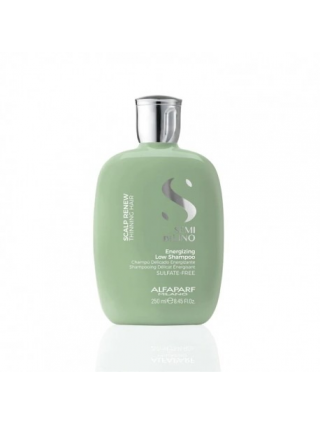 Shampoing Énergisant 250ml...