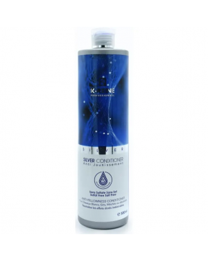 K-Reine Silver Conditionner 500ml Après Shampoing pour Cheveux Colorés avec Mèches